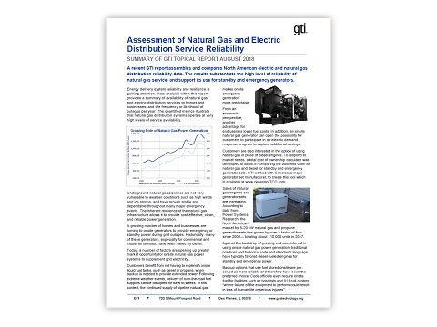 Assessment of Natural Gas and Electric Distribution Service Reliability