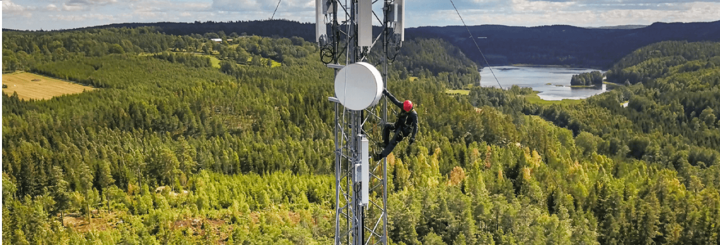 Person near the top of a telecommunications tower in the forest.